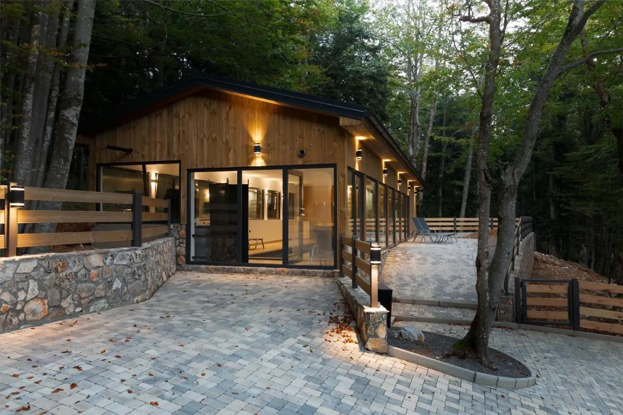 Forest Angel Rg Villa Ravna Gora